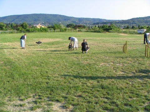 Izpit male sole 02.06.2005 - foto povečava