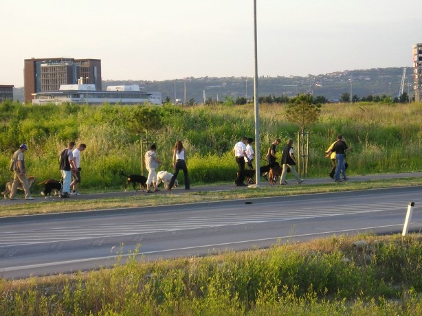 Izpit male sole 02.06.2005 - foto povečava