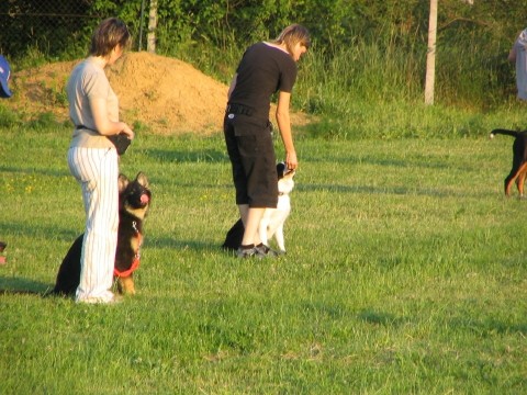 Izpit male sole 02.06.2005 - foto povečava