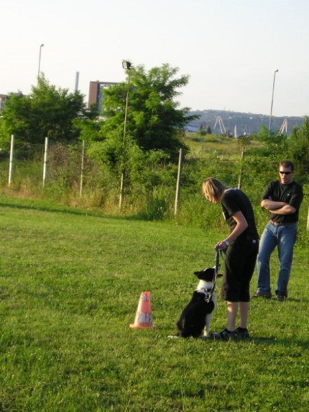 Izpit male sole 02.06.2005 - foto povečava