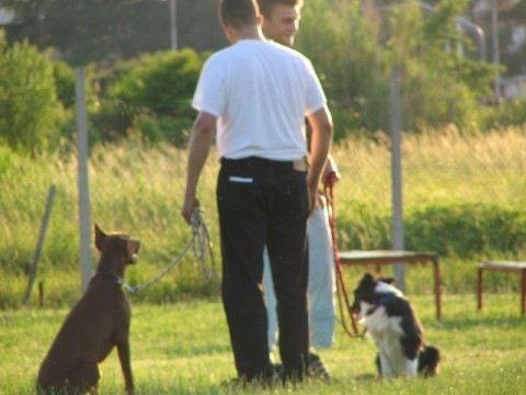 Izpit male sole 02.06.2005 - foto povečava
