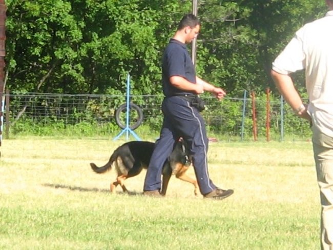 Tekmovanje v poslušnosti Komen 2005 - foto povečava
