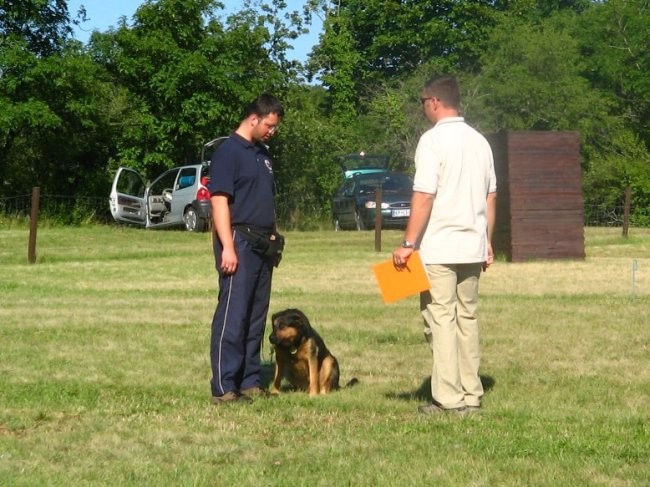 Tekmovanje v poslušnosti Komen 2005 - foto povečava