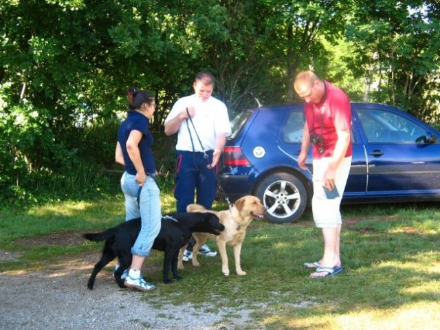 Tekmovanje v poslušnosti Komen 2005 - foto