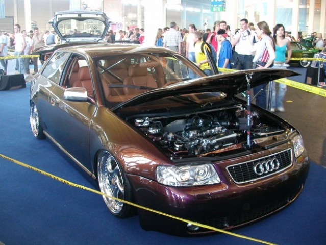 TUNING WORLD BODENSEE - foto