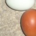 Jajca od kokoši marans in aurokana