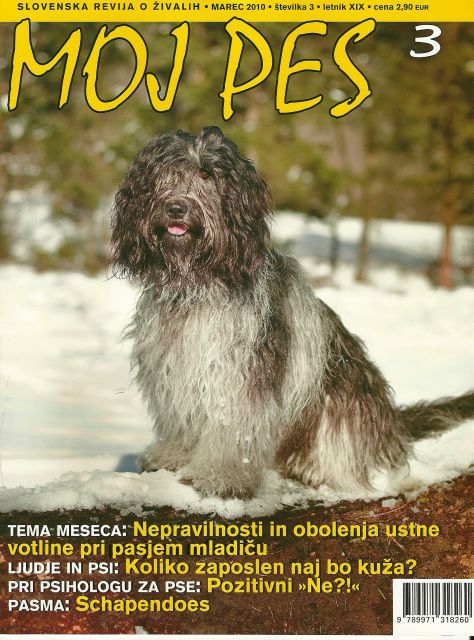 Photoshoot for dog magazine Moj pes - foto