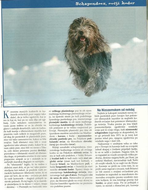 Photoshoot for dog magazine Moj pes - foto