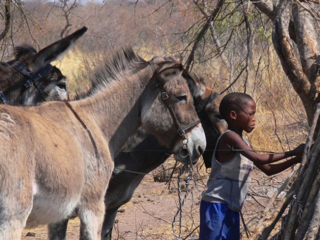 Namibija - foto