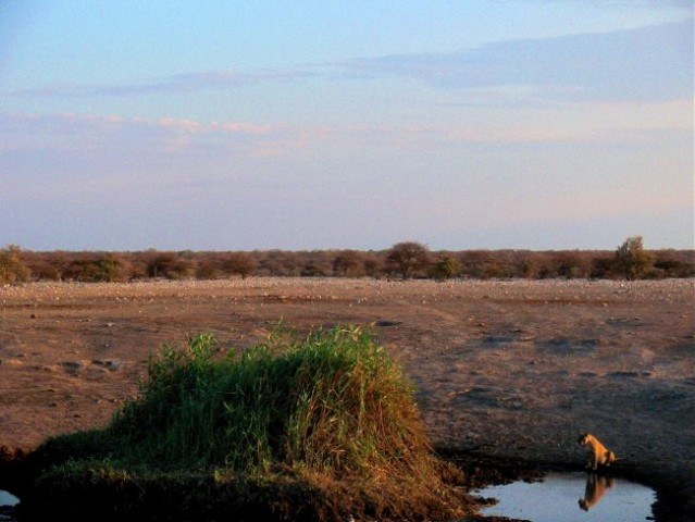 Namibija - foto