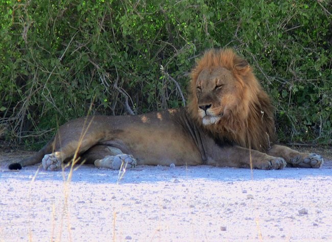 Namibija - foto povečava