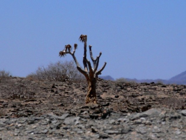 Namibija - foto