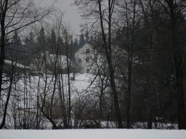 Zima-barvna - foto povečava