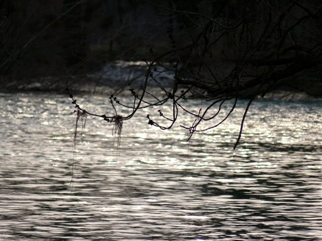 Dolenjska - foto povečava