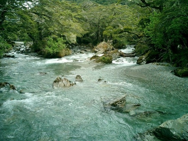 Nova Zelandija - foto