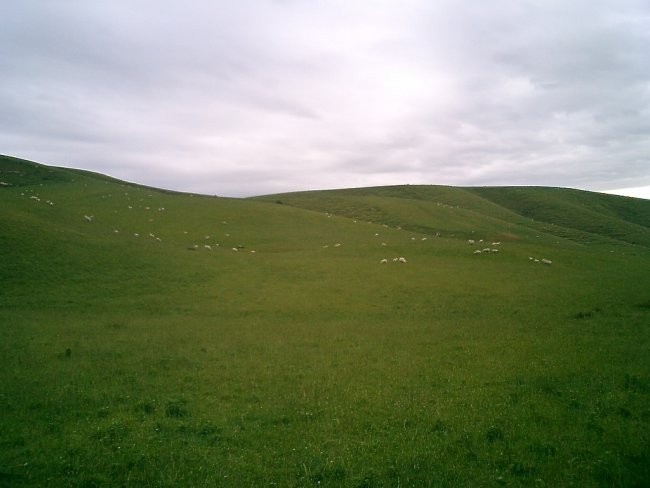 Nova Zelandija - foto povečava