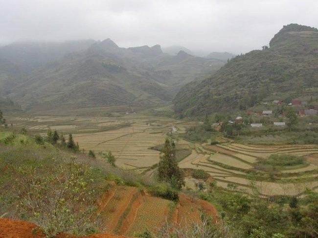 Vietnam - foto povečava