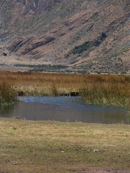 Peru treking - foto