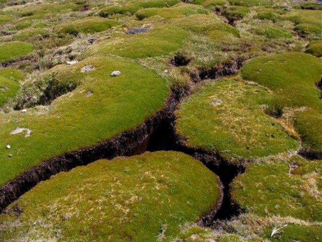 Peru treking - foto