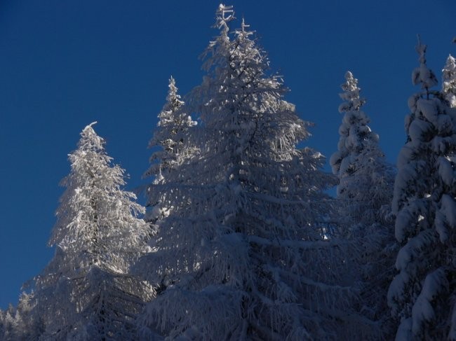 Nassfeld - foto povečava