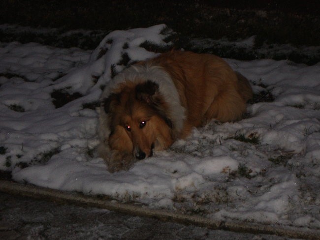 Prvič na snegu - foto povečava