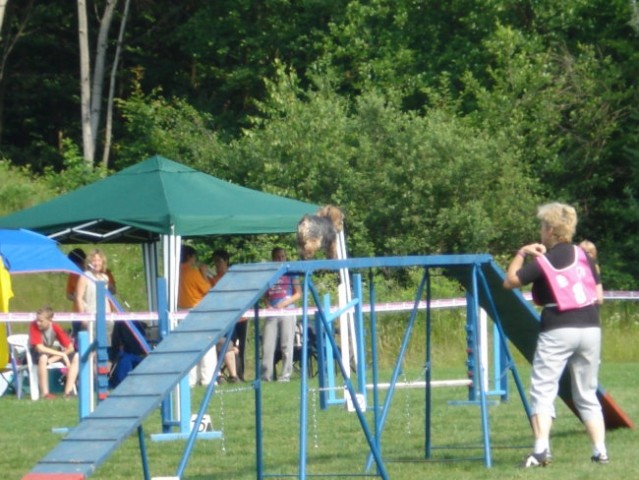 Agility tekma-Križevci pri Ljutomeru - foto