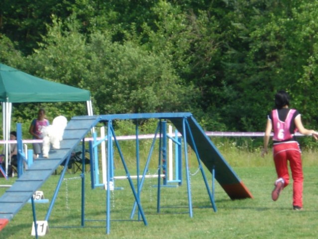 Agility tekma-Križevci pri Ljutomeru - foto