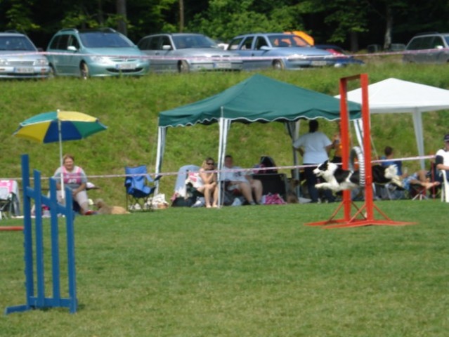 Agility tekma-Križevci pri Ljutomeru - foto