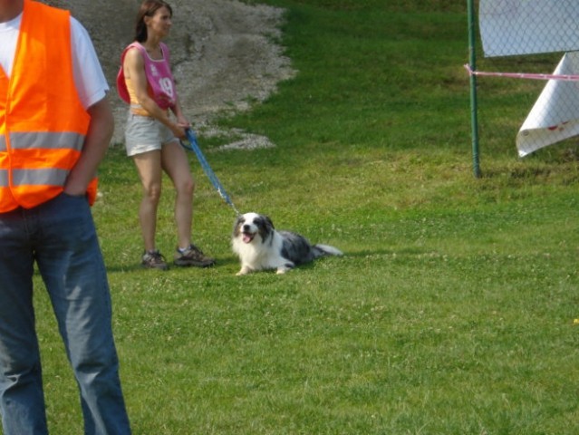 Agility tekma-Križevci pri Ljutomeru - foto