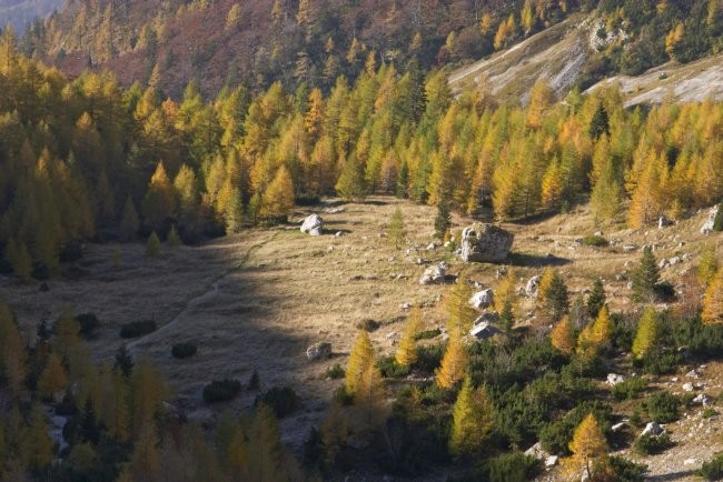 Ekosklad - foto povečava