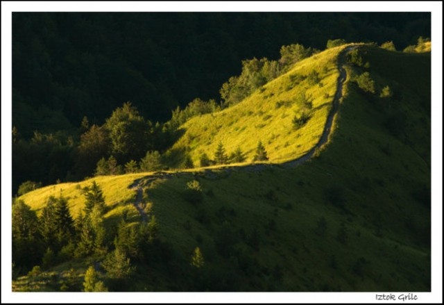 Fotonatečaji, objave v revijah - foto