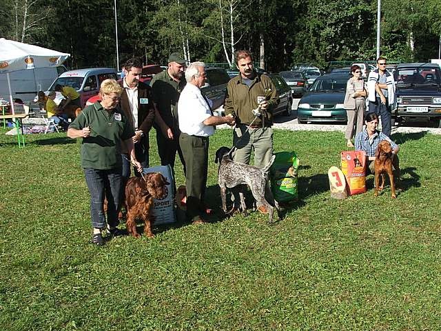 CAC Koroške - foto