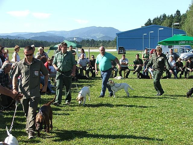 CAC Koroške - foto povečava