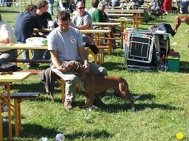 CAC Koroške - foto