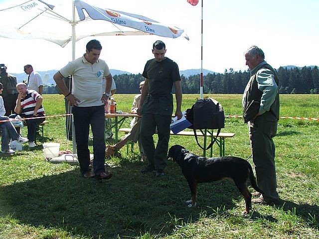 CAC Koroške - foto