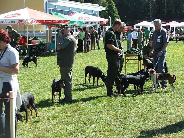 CAC Koroške - foto povečava