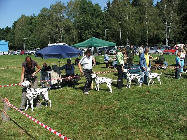 CAC Koroške - foto