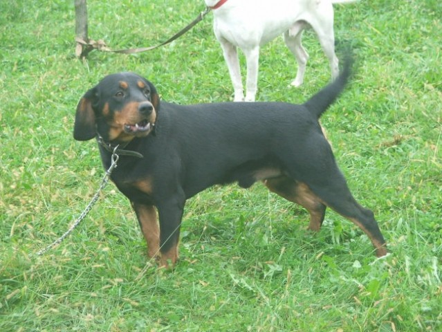CACT Doboj - foto
