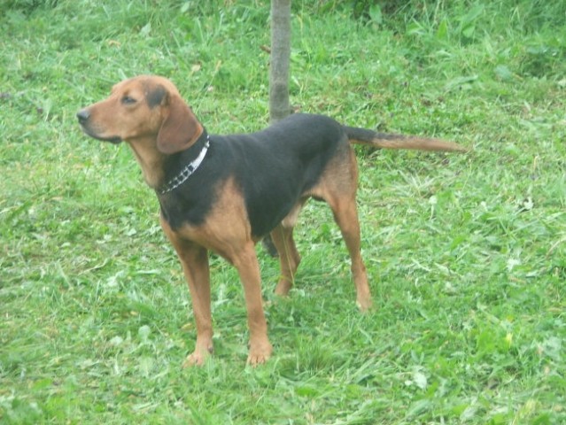 CACT Doboj - foto