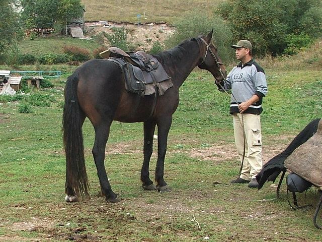 Kavkaz na konjih - foto