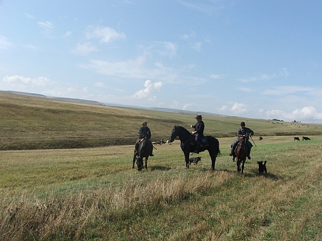 Kavkaz na konjih - foto