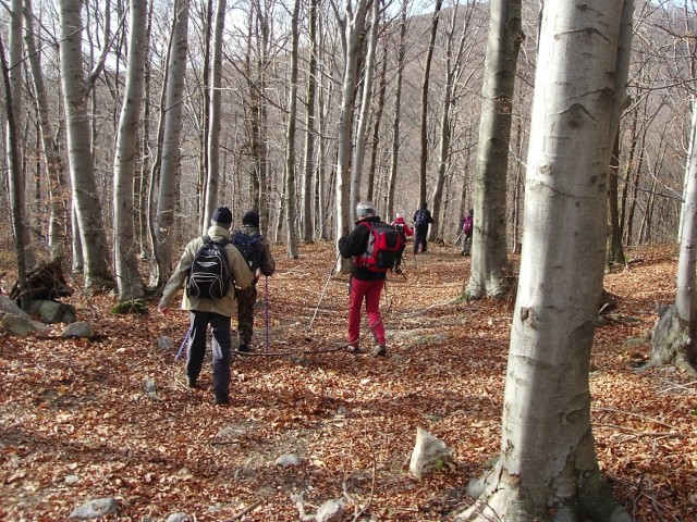 Medvednica 22.11.2008 - foto