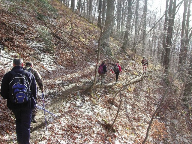 Medvednica 22.11.2008 - foto