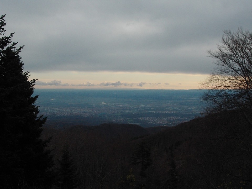 Medvednica 22.11.2008 - foto povečava