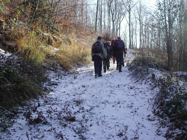 Medvednica 22.11.2008 - foto