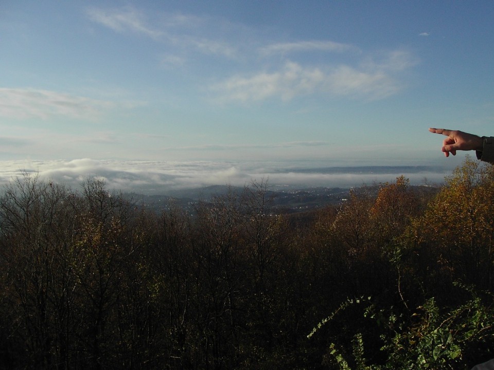 Medvednica 22.11.2008 - foto povečava