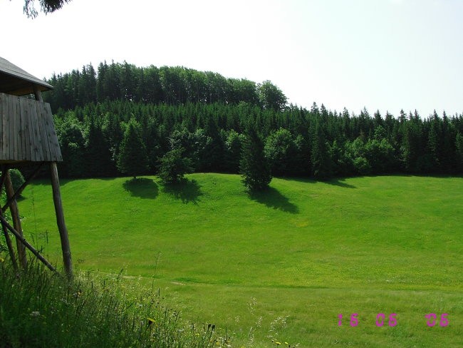 Paški kozjak 22.6.2006 - foto povečava