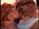 Animations - foto povečava