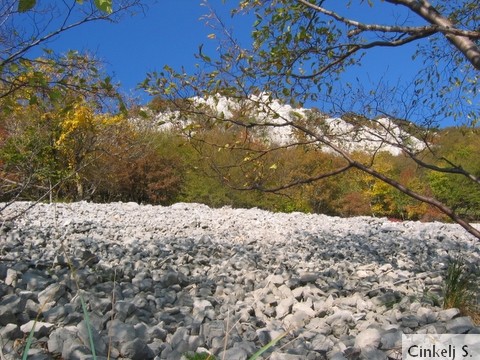 Snežnik Nanos 05 - foto