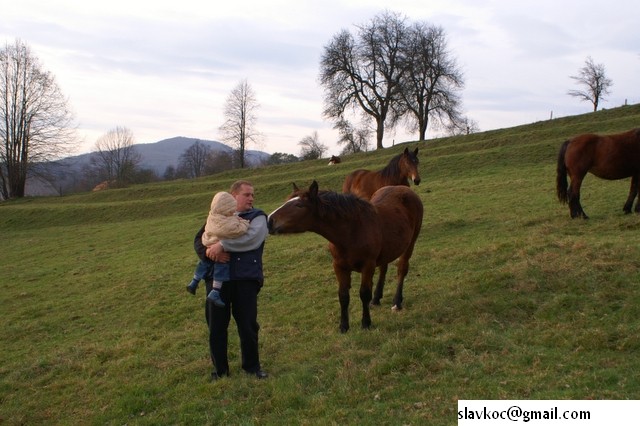 Narava- različni motivi - foto povečava